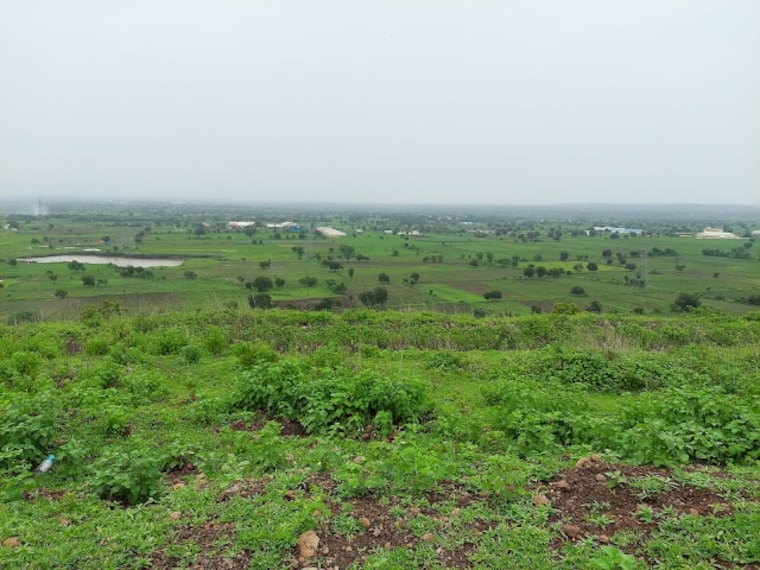 Friendship Hill_1